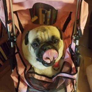 Meet your Posher, Diane